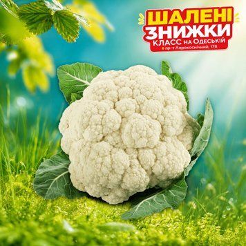 Капуста цвітна 8/0389 фото