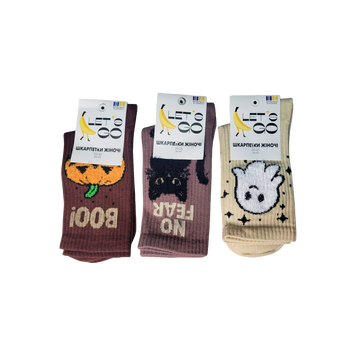 Шкарпетки жіночі демісезонні з пухнастою пряжею р.23-25 Halloween ДП401HW25 LET`S GO 69/5191 фото
