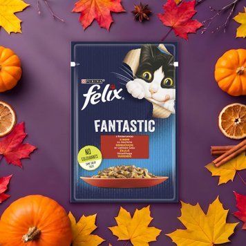 Корм для котів яловичина в желе fantastic м/у 85г Felix 39/4956 фото
