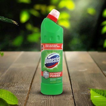 Засіб універсальний Хвойна свіжість 750мл Domestos 07/28057 фото
