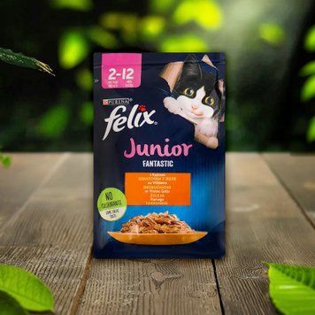 Корм для кошенят курка в желе fantastic м/у 85г Felix 39/3571 фото