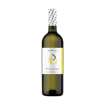 Вино Італія біл сух Bottesini Pinot Grigio IGT Puglia 0,75л 4/24812 фото