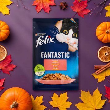 Корм для котів лосось в желе fantastic м/у 85г Felix 39/4953 фото