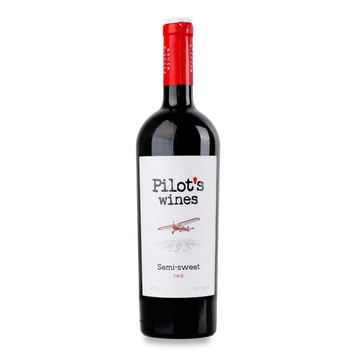 Вино Pilot&rsquo;s Wines червоне н/сол 0,75л 4/24231 фото
