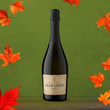 Вино ігристе Італія біле сухе Prosecco DOC Brut 0,75л Casa Leonor 4/25682 фото